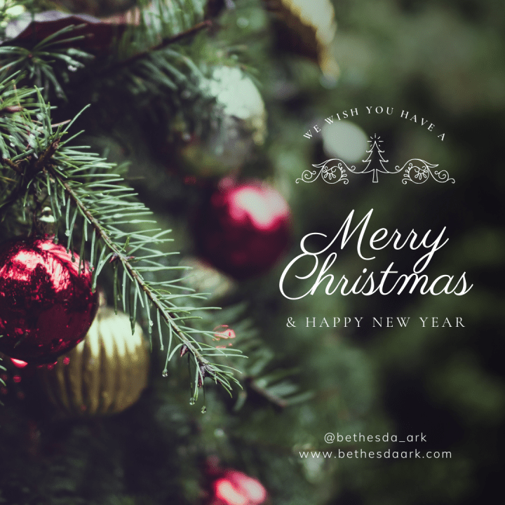 A Christmas Reflection & A Hopeful Look Toward&nbsp;2026