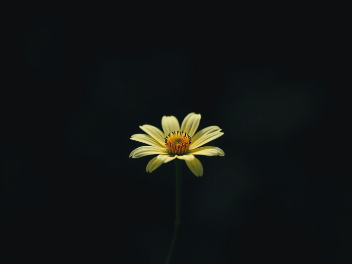 The Silent Treatment as Abuse: When Communication Becomes a&nbsp;Weapon